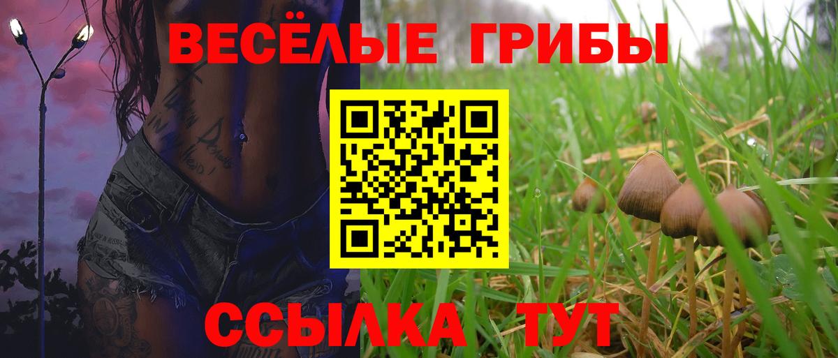 Большой Камень  Галлюциногенные грибы Cubensis  Псилоцибиновые грибы прущие грибы  Вход с VPN 